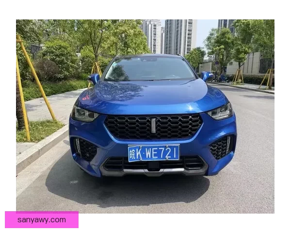 weyvv5国产SUV视频极致表现 引燃山海穿越壮丽之旅 续写全能之章 拓展探索精神